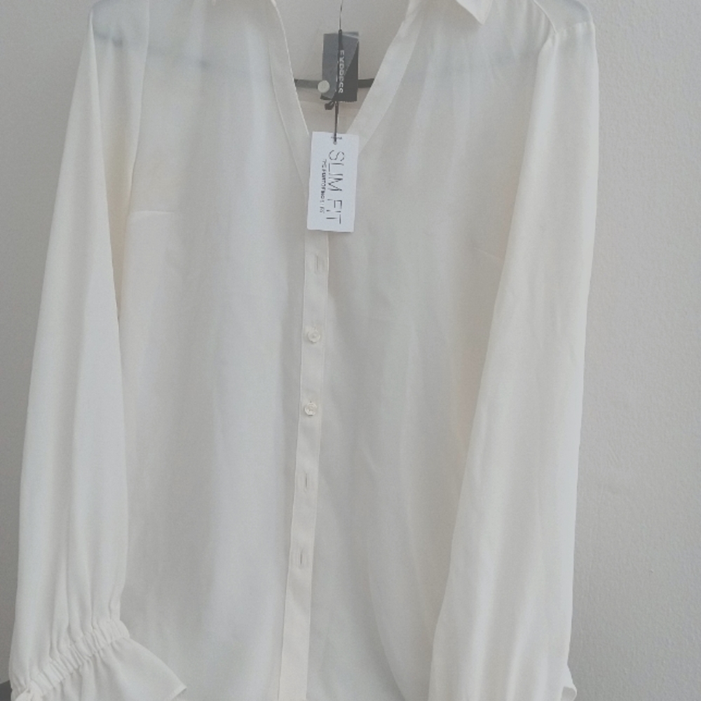 Express  slim fit  sheer blouse .